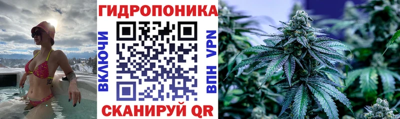 Купить закладку Торопец ГАШИШ Конопля COCAIN Меф